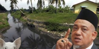 Mampu Kerajaan DAP jernih kembali air Sg Kereh?