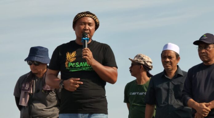 2024 umum insentif pesawah, hingga kini belum tunai
