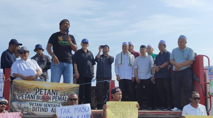 Pesawah akhirnya terpaksa berhenti tanam padi