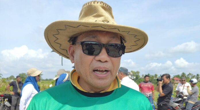 Pesawah susah tak dibantu, kartel pula raih keuntungan