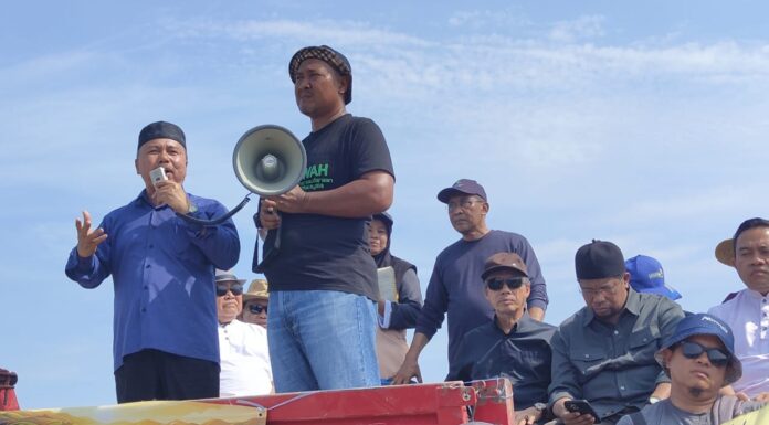 Masalah pesawah: Kerajaan perhati dari jauh sahaja?