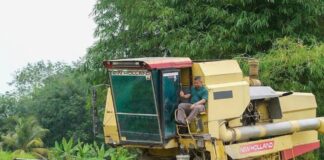 Pesawah dibebani kos: Harga padi perlu dikaji semula