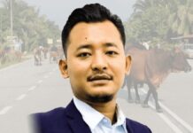 ‘Lembu pun orang marah, ini pula babi’