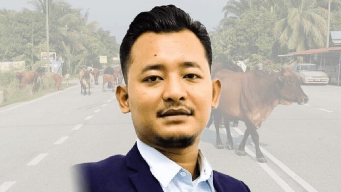 Mohamad Amin Roslan