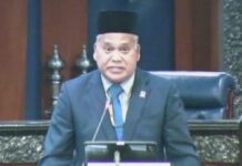 ‘Kalau paksa, tentu anak PM menang Permatang Pauh’
