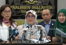PAC lihat serius isu LCS, batal peluru berpandu Norway
