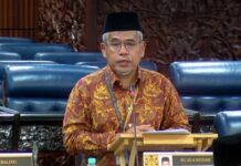 Kuasa lebih luas kepada menteri perlu semak imbang