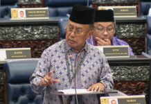 Dana KWAN: Beri Menteri lebih kuasa banding Parlimen?