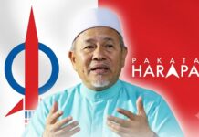 ‘Gelombang Hijau’: Serlah gelisah, emosi DAP-PH